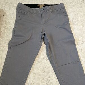 Democracy Abroad Technology Gray Jeans